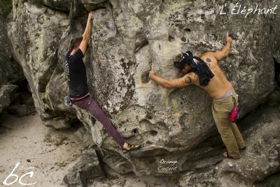 "Orange Circuit" (2)